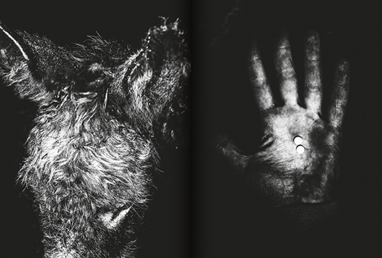 08_WPPH_NEXT#03_2013_spread 8