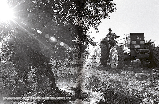02_WPPH_new stories spread 2